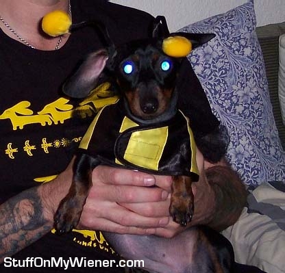 Eva in a bee costume.