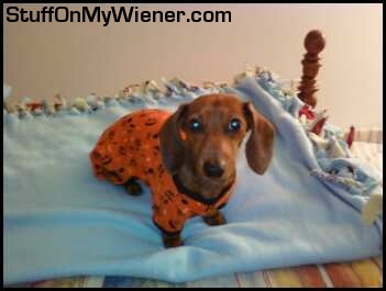 Evie in her jammies.