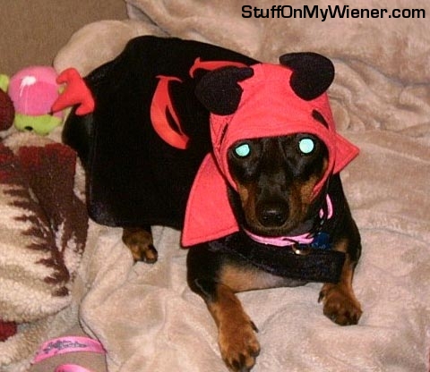 Harley Brooke devil costume.