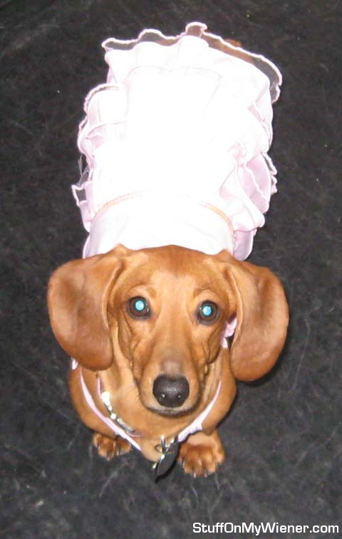 Nadja in Valentine's dress.