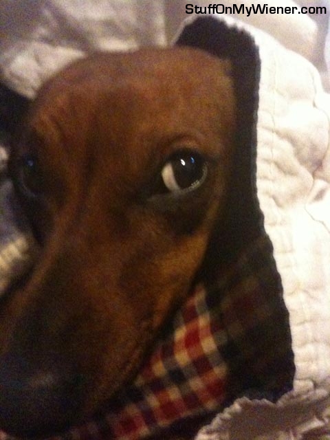 Ringo Star questions mom for waking him.