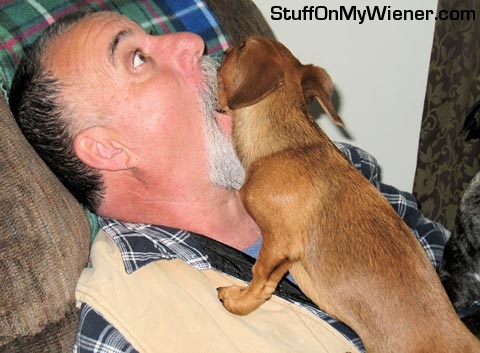 Roo cleaning dad's teeth.