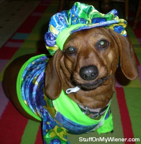 Roxy in her Hippie outfit.