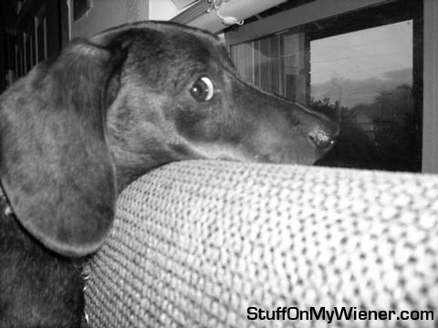 Shooter on the lookout.