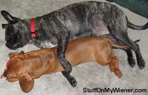 Emma hugged by Ceebee.