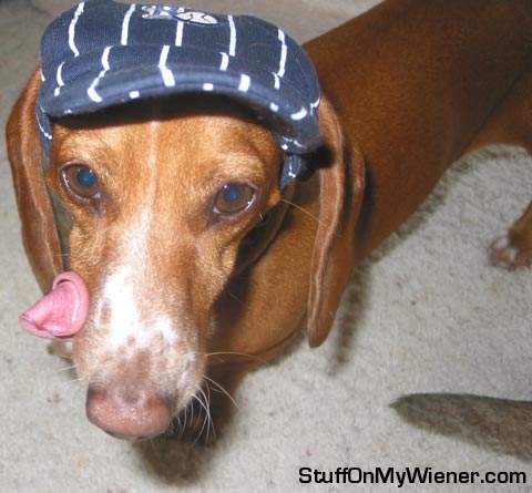 Frankie in a baseball hat.