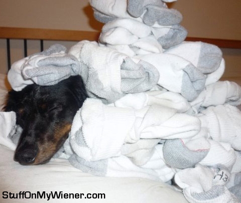 Limo under a pile of socks.