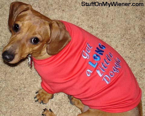 Pebbles in a long shirt.