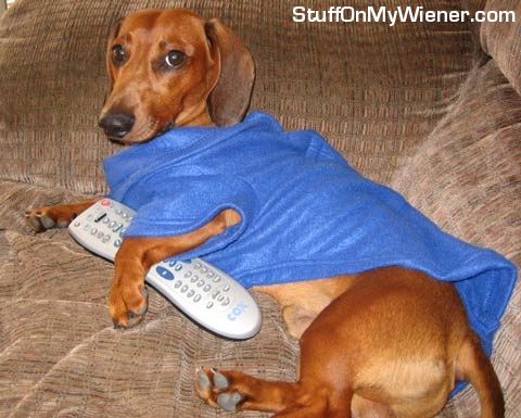 Bubbs in a Snuggie and his remote.