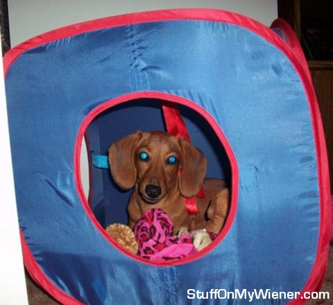 Nadja in her toy tent.