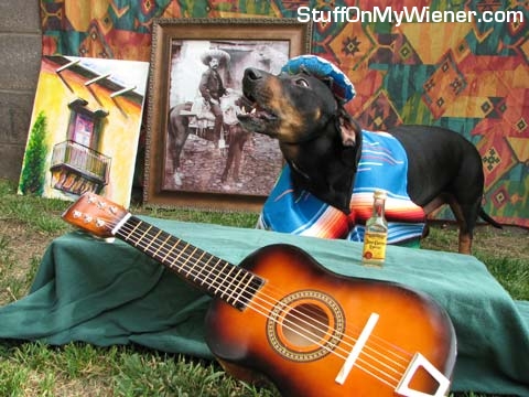 Rosko in a poncho and sombrero.