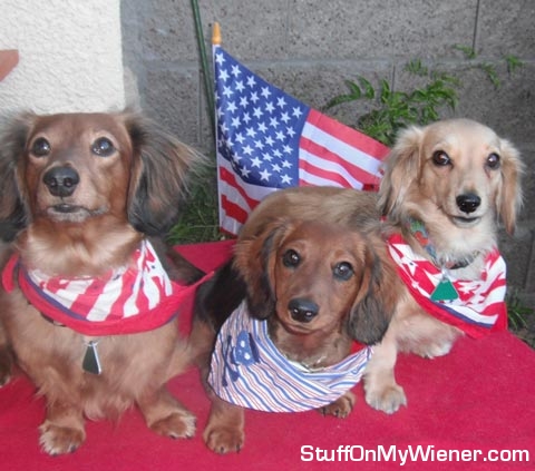 Happy Independence Day!