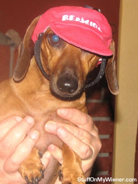 Annie in a Bermuda baseball cap.