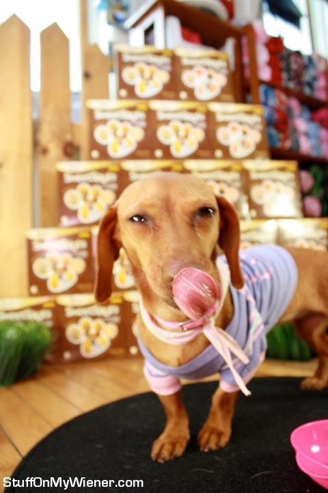 Brandee licking chops from ice cream.