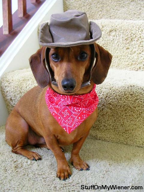 Lily in a hat and scarf.