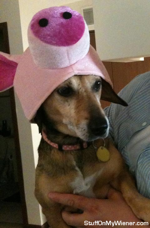 Sophie in a pig hat.