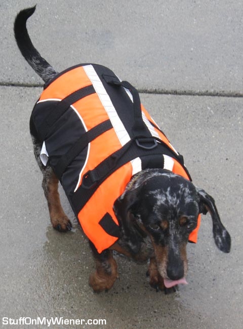 Abbey with a life vest.