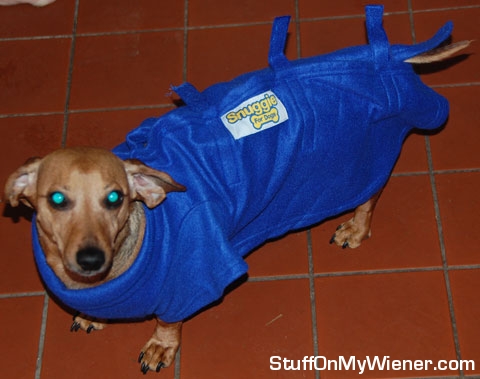 Basil in his snuggie.