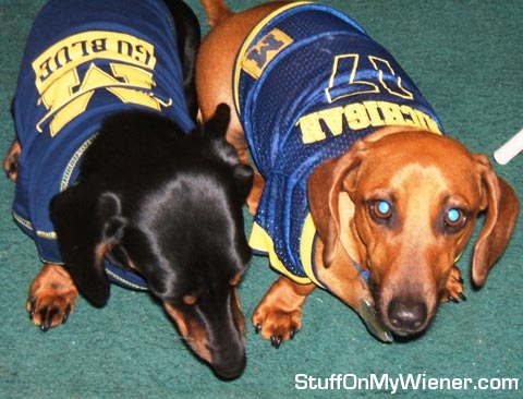 Dauber and Jocko in jerseys.
