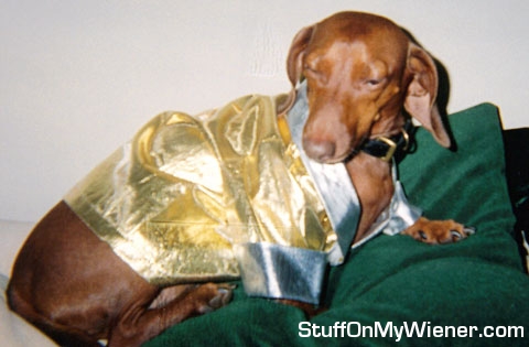 Gimli in a gold lamé jacket.