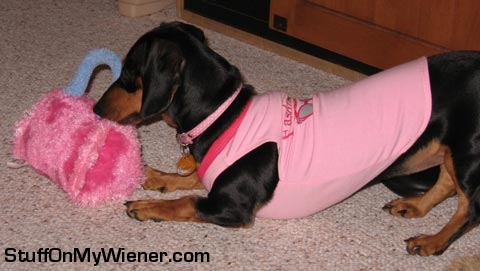 Lexi in a shirt with her purse.
