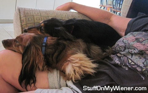 Mitzi on top of Mia.