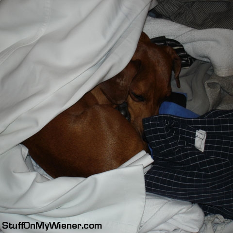 Pebbles in the wash.