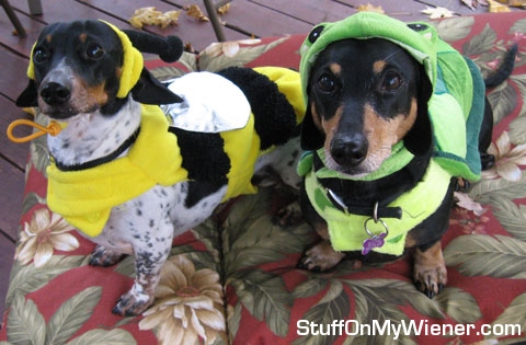 Andie and Bella as a bee and turtle.