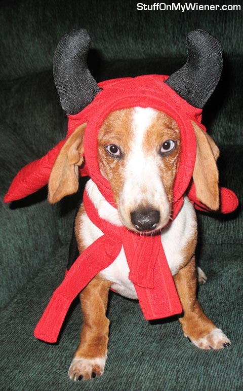 Bodie in his devil costume.