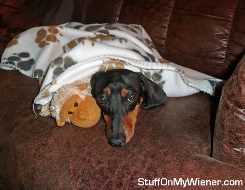 Heidi sleeping with her monkey.