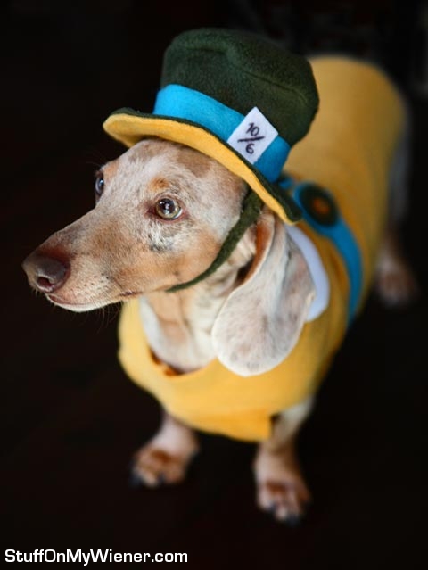 Herbie as the Mad Hatter.