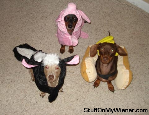 Lizzie, Ellie, and Jackson in costumes.
