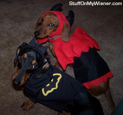 Page and Pierre in costumes.