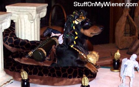 Peanut Wigglebutt as Cleopatra.