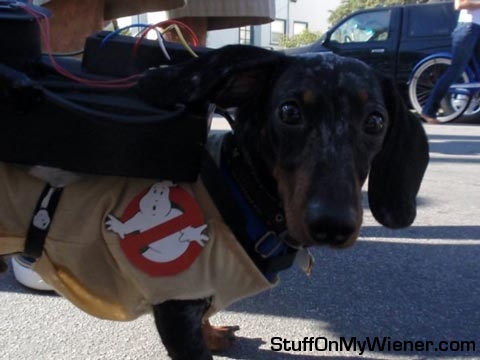 Reggie as a Ghostbuster.