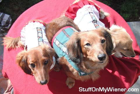 Schatzi, Savannah, and Brandee in their German dresses.