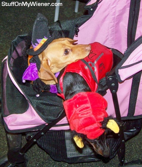 Brandee uses Dolly as a pillow.