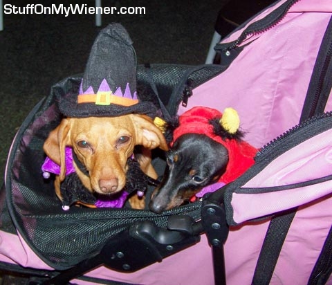 Brandee and Dolly tired treaters.