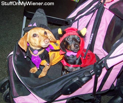 Brandee and Dolly ready to go.