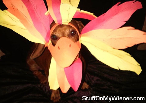 Heidi as a turkey.