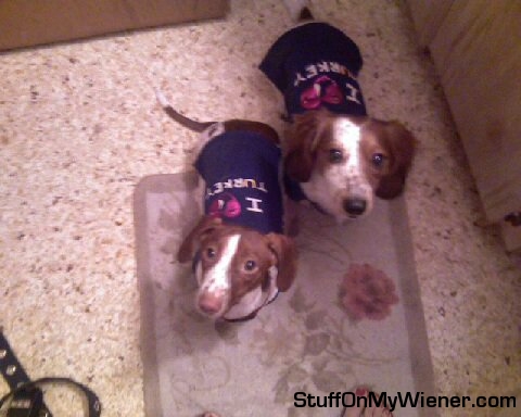 Kody and Lilly love turkey shirts.