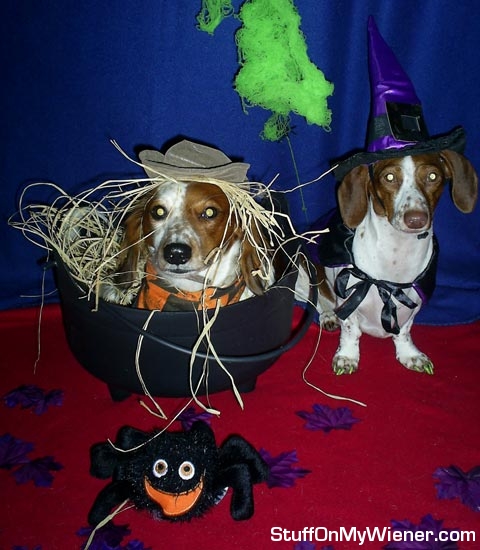 Kody as a scarecrow, Lily as a witch.
