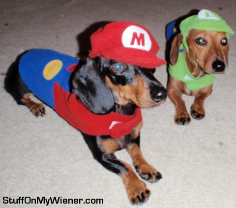 Pierre as Mario, Page as Luigi.