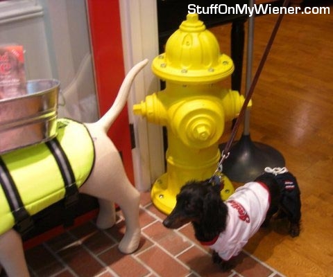 Shaky in shirt next to hydrant.