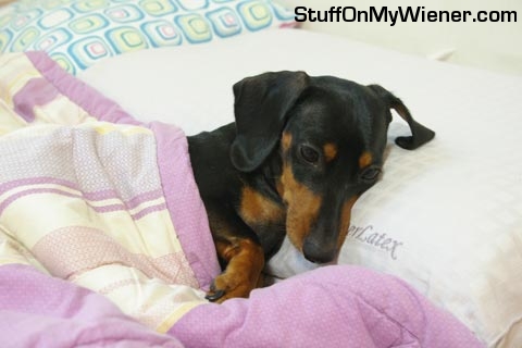 Heuksim rests in bed.