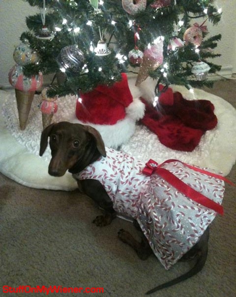 Anya in a candy cane dress.