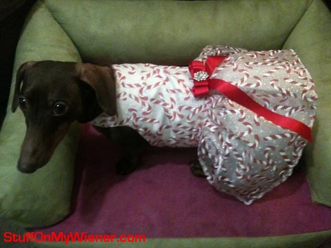 Anya in a candy cane dress.