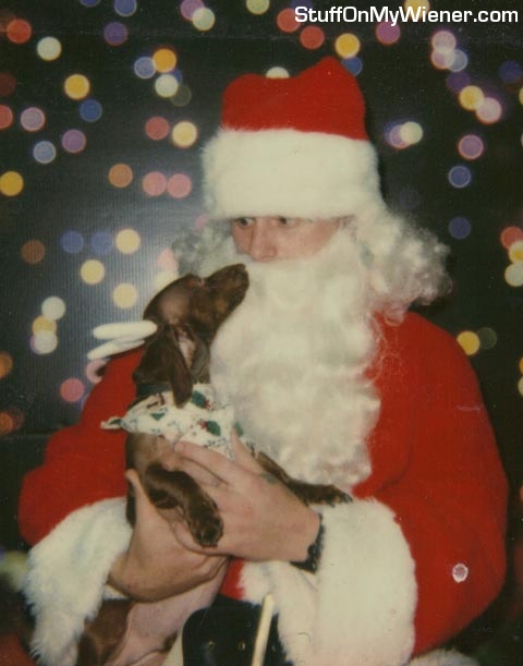 Gimli with Santa.