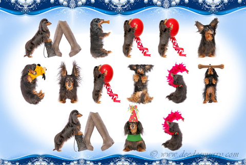 Hallie's Christmas card.