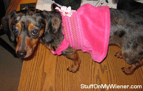 Mouse in a pink dress.